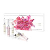 Hình Ảnh Christina Muse Cell Shield Ampoules Kit - Bộ Tế Bào Gốc Chiết Xuất Từ Hoa Hồng - sieuthilamdep.com