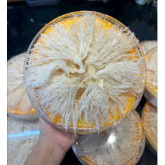 Hình Ảnh Chân Yến Rút Lông Loại Đặc Biệt (100gr) - Tổ Yến (Yến Sào) Làm Sạch Cao Cấp, Tùy Chọn: Chân Yến Loại Đặc Biệt - sieuthilamdep.com