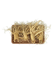 Hình Ảnh Nhân Sâm Tươi Hàn Quốc KGC 4 Củ/Kg Đủ Tuổi, Đã Làm Sạch - Nhập Khẩu Chính Ngạch, Tùy Chọn: 4 Củ/Kg - sieuthilamdep.com