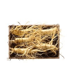 Hình Ảnh Nhân Sâm Tươi Hàn Quốc KGC 5 Củ/Kg Đủ Tuổi, Đã Làm Sạch - Nhập Khẩu Chính Ngạch, Tùy Chọn: 5 Củ/Kg - sieuthilamdep.com