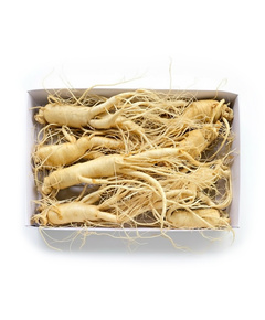 Hình Ảnh Nhân Sâm Tươi Hàn Quốc KGC 8 Củ/Kg Đủ Tuổi, Đã Làm Sạch - Nhập Khẩu Chính Ngạch, Tùy Chọn: 8 Củ/Kg - sieuthilamdep.com