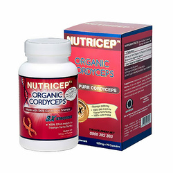 Hình Ảnh Đông Trùng Hạ Thảo Nutricep Organic Cordyceps - Kỳ Duyên House - sieuthilamdep.com