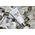 Hình Ảnh Bộ SK-II Mini Set 3 Món / 4 Món Dùng Thử Của Nhật Bản, Tùy Chọn: Bộ SK-II Mini Set 3 Món / 4 Món, 2 hình ảnh - sieuthilamdep.com