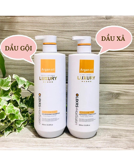 Hình Ảnh Olexrs Hair Salon Argan Oil Luxury - Bộ Dầu Gội Xả Phục Hồi, Giảm Rụng Tóc (2 Chai x 960ml), 3 hình ảnh - sieuthilamdep.com