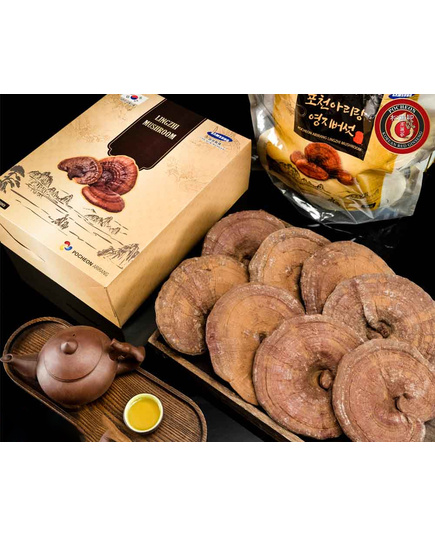 Hình Ảnh Nấm Linh Chi Đỏ Pocheon Arirang Lingzhi Mushroom Hàn Quốc 1kg (10-13 lá), 3 hình ảnh - sieuthilamdep.com