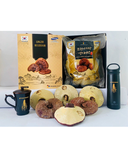 Hình Ảnh Nấm Linh Chi Đỏ Pocheon Arirang Lingzhi Mushroom Hàn Quốc 1kg (10-13 lá), 4 hình ảnh - sieuthilamdep.com