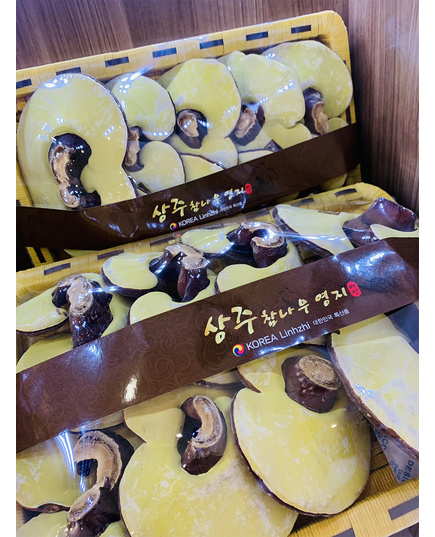 Hình Ảnh Nấm Linh Chi Gỗ Sồi SangJu Chính Hãng Hàn Quốc Hộp Giấy, 3 hình ảnh - sieuthilamdep.com