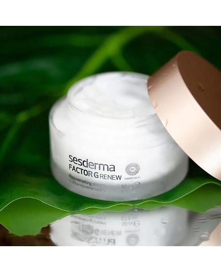 Hình Ảnh Sesderma Factor G Renew Rejuvenating Cream - Kem Dưỡng Tái Tạo Và Trẻ Hóa Da, 3 hình ảnh - sieuthilamdep.com Hình Ảnh Sesderma Factor G Renew Rejuvenating Cream - Kem Dưỡng Tái Tạo Và Trẻ Hóa Da, 3 hình ảnh - sieuthilamdep.com