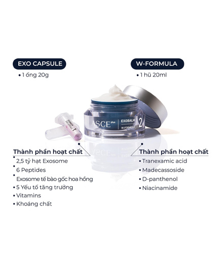 Hình Ảnh ExoCoBio ASCE+ Exobalm - Kit 2 Sản Phẩm Kem Dưỡng & Bột Tái Tạo Da, 3 hình ảnh - sieuthilamdep.com