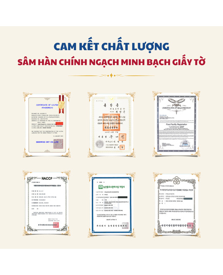 Hình Ảnh Hộp Quà Tết Sức Khoẻ Xuân 2026 - Daedong DKG.20, 3 hình ảnh - sieuthilamdep.com