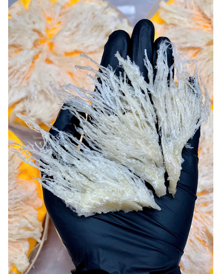 Hình Ảnh Chân Yến Rút Lông Loại Đặc Biệt (100gr) - Tổ Yến (Yến Sào) Làm Sạch Cao Cấp, Tùy Chọn: Chân Yến Loại Đặc Biệt, 5 hình ảnh - sieuthilamdep.com