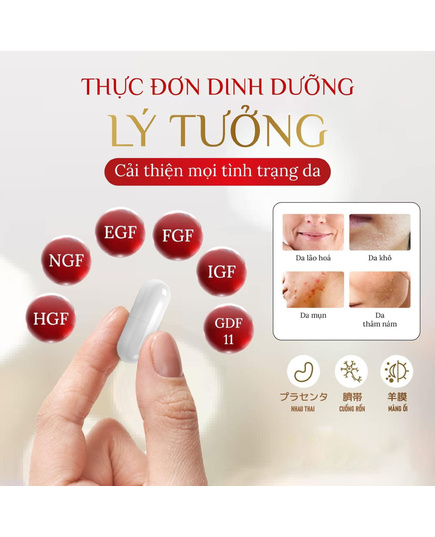 Hình Ảnh My Placen EX - Viên Uống Tế Bào Gốc Nhau Thai Tươi, 3 hình ảnh - sieuthilamdep.com