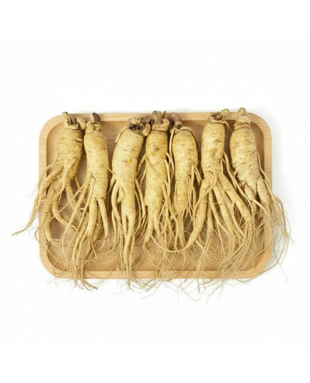 Hình Ảnh Nhân Sâm Tươi Hàn Quốc KGC 7 Củ/Kg Đủ Tuổi, Đã Làm Sạch - Nhập Khẩu Chính Ngạch, Tùy Chọn: 7 Củ/Kg - sieuthilamdep.com