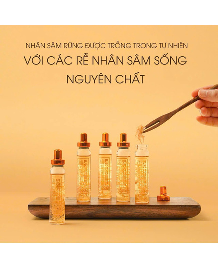 Hình Ảnh Tinh Chất Sâm Núi Manyoung Tissue Cultured Korean Mountain Ginseng, 4 hình ảnh - sieuthilamdep.com