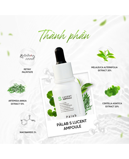 Hình Ảnh Palab S Lucent Ampoule Tinh Chất Kiềm Dầu, Kháng Viêm, Giảm Mụn, 3 hình ảnh - sieuthilamdep.com
