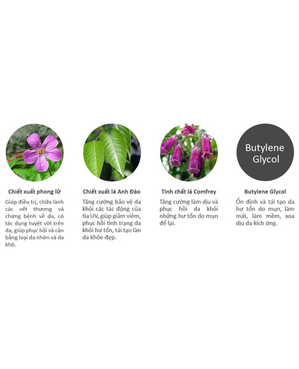 Hình Ảnh Bộ Đôi Trị Mụn Hiệu Quả Tận Gốc Acne Clearing Cream & Deep Purifying Cleansing Foam Sakura, 5 hình ảnh - sieuthilamdep.com