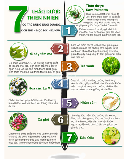 Hình Ảnh Bộ Đôi Ngăn Ngừa & Kích Thích Mọc Tóc Hiệu Quả Herba Hairful & Hairful Serum, 2 hình ảnh - sieuthilamdep.com