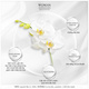 Hình Ảnh Woman Essentials Essence De Joie - Gel Dưỡng Ẩm Vùng Kín (40ml), Tùy Chọn: 40ml, 2 hình ảnh - sieuthilamdep.com Hình Ảnh Woman Essentials Essence De Joie - Gel Dưỡng Ẩm Vùng Kín (40ml), Tùy Chọn: 40ml, 2 hình ảnh - sieuthilamdep.com