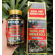 Hình Ảnh Tinh Dầu Thông Đỏ Royal Pine Needle Gold Hàn Quốc 100 Viên, 2 hình ảnh - sieuthilamdep.com Hình Ảnh Tinh Dầu Thông Đỏ Royal Pine Needle Gold Hàn Quốc 100 Viên, 2 hình ảnh - sieuthilamdep.com