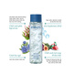 Hình Ảnh Payot Source Moisturizing Plumping Infusion - Toner Cô Đặc Cấp Ẩm, Căng Bóng Da, 2 hình ảnh - sieuthilamdep.com Hình Ảnh Payot Source Moisturizing Plumping Infusion - Toner Cô Đặc Cấp Ẩm, Căng Bóng Da, 2 hình ảnh - sieuthilamdep.com