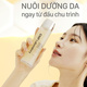 Hình Ảnh CNP Laboratory Propolis Treatment Ampule Essence Nước Thần Keo Ong Cấp Ẩm, Phục Hồi Da (Set 2 Chai), 4 hình ảnh - sieuthilamdep.com