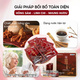 Hình Ảnh Nước Hồng Sâm Nhung Hươu Orin Healthcare Premium 6 Years Old Red Ginseng Gold Liquid, 4 hình ảnh - sieuthilamdep.com
